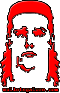 pic20.gif